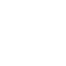 Our Vision