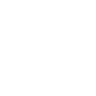 Our Values